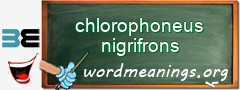 WordMeaning blackboard for chlorophoneus nigrifrons